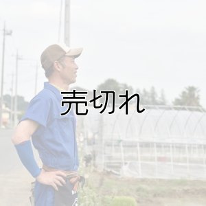 画像3: 宮澤園芸　令和6年産　埼玉県吉見町産米