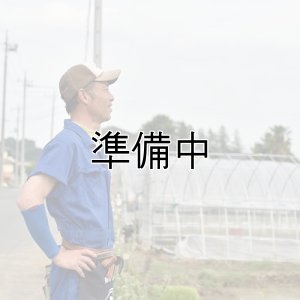 画像3: 宮澤園芸