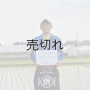 画像1: 宮澤園芸　令和6年産　埼玉県吉見町産米