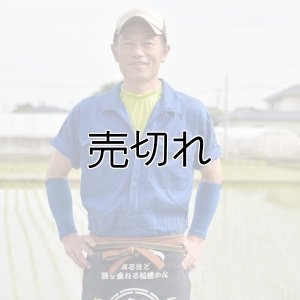 画像2: 宮澤園芸　令和6年産　埼玉県吉見町産米