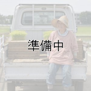 画像3: 嶋崎　勇