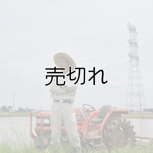 画像2: （株）横田農園