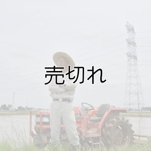 画像2: （株）横田農園　令和6年産　埼玉県吉見町産米