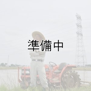 画像2: （株）横田農園