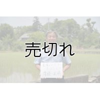 齊藤正明　令和6年産　吉見町産米