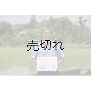 画像1: 齊藤正明　令和6年産　吉見町産米