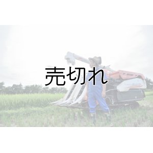 画像2: 松本　眞一　令和6年産　吉見町産米