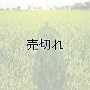 画像4: 新井秀明 令和7年産 埼玉県吉見町産米