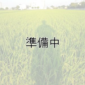 画像4: 新井秀明　令和7年産　埼玉県吉見町産米