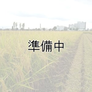 画像2: 新井秀明　令和6年産　埼玉県吉見町産米