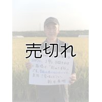 新井秀明　令和5年産　埼玉県吉見町産米