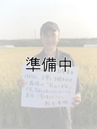 新井秀明　令和6年産　埼玉県吉見町産米