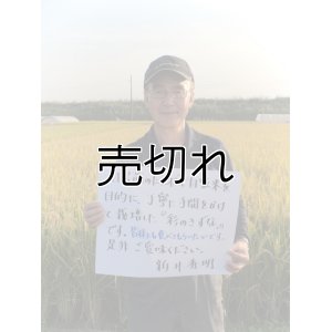 画像1: 新井秀明　令和5年産　埼玉県吉見町産米