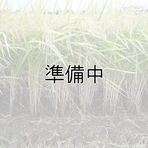 画像3: 新井秀明　令和7年産　埼玉県吉見町産米