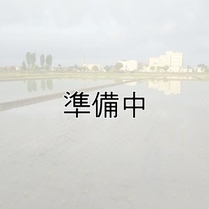 画像5: 新井秀明　令和7年産　埼玉県吉見町産米