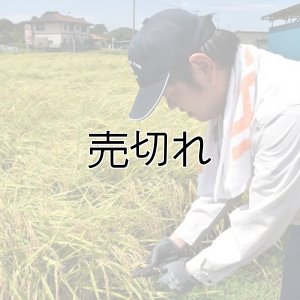 画像3: 鈴木義正