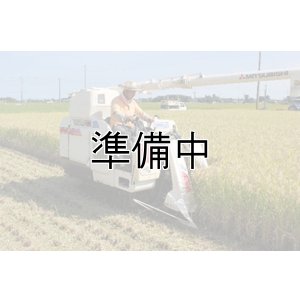 画像2: 吉田農園