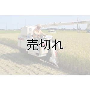 画像2: 吉田農園