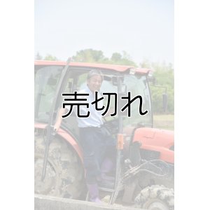 画像4: 齊藤正明　令和6年産　吉見町産米