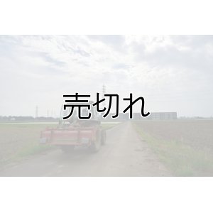 画像3: 小池農園