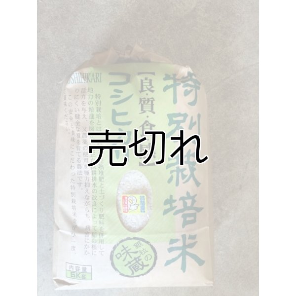 画像3: 農業生産法人　(株)ヤマグレイン (3)