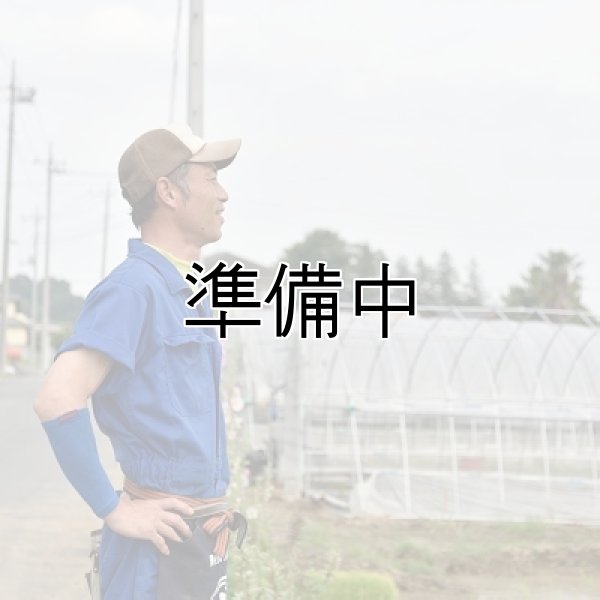 画像3: 宮澤園芸 (3)