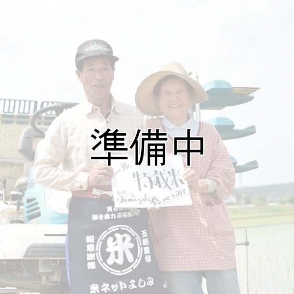 画像1: 嶋崎　勇 (1)
