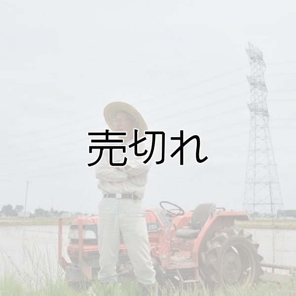 画像2: （株）横田農園　令和6年産　埼玉県吉見町産米 (2)