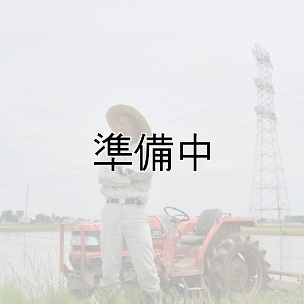 画像2: （株）横田農園 (2)