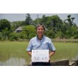 画像1: 齊藤正明　令和6年産　吉見町産米 (1)