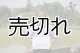 画像: 齊藤正明