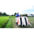 画像3: 松本　眞一　令和6年産　吉見町産米 (3)