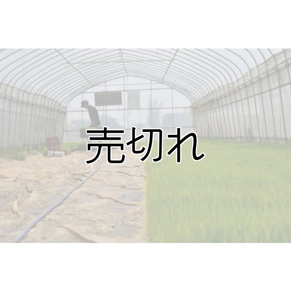画像2: 農業生産法人　(株)ヤマグレイン (2)