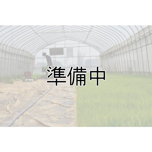 画像2: 農業生産法人　(株)ヤマグレイン (2)