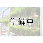 画像: 農業生産法人　(株)ヤマグレイン　令和6年産　埼玉県吉見町産米