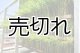 画像: 農業生産法人　(株)ヤマグレイン　令和6年産　埼玉県吉見町産米