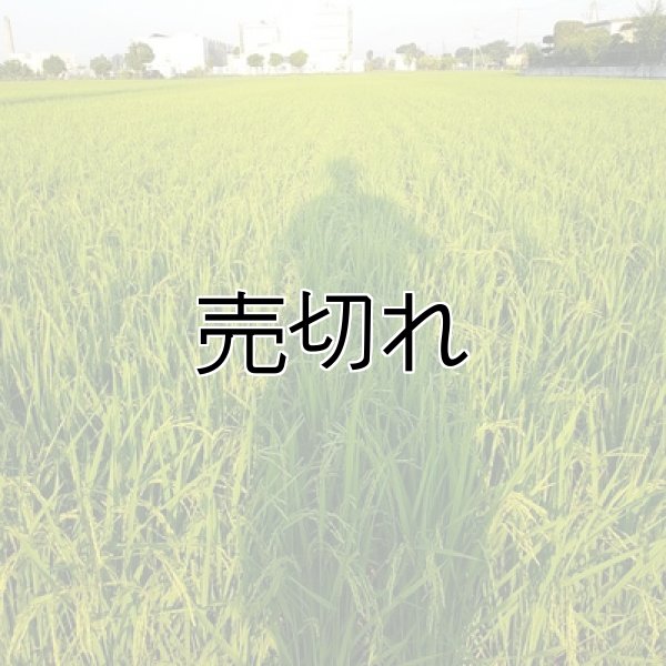 画像4: 新井秀明　令和7年産　埼玉県吉見町産米 (4)