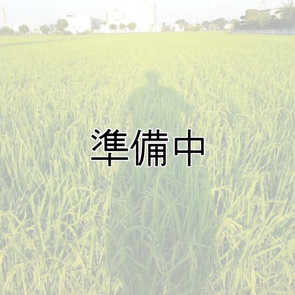 画像4: 新井秀明 (4)