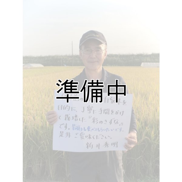 画像1: 新井秀明 (1)