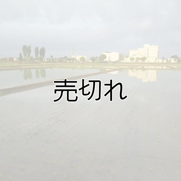 画像5: 新井秀明　令和7年産　埼玉県吉見町産米 (5)