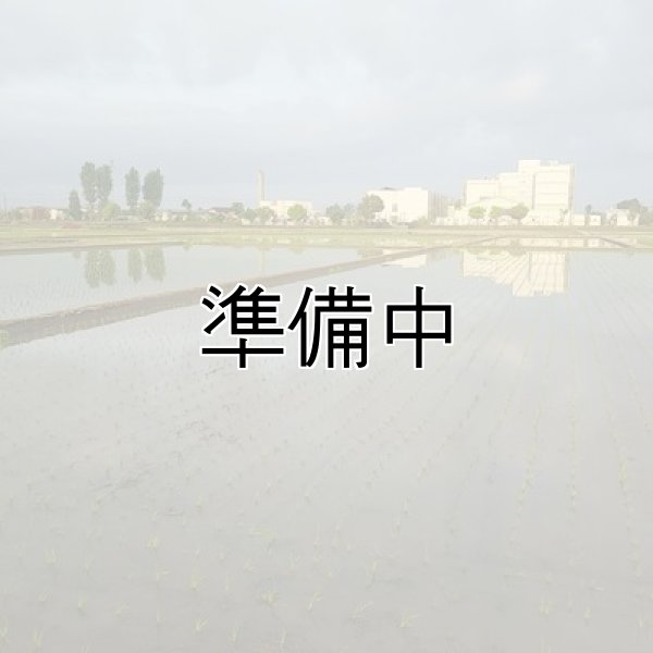 画像5: 新井秀明 (5)