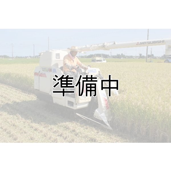 画像2: 吉田農園 (2)
