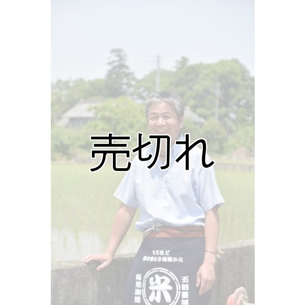 画像5: 齊藤正明　令和6年産　吉見町産米 (5)