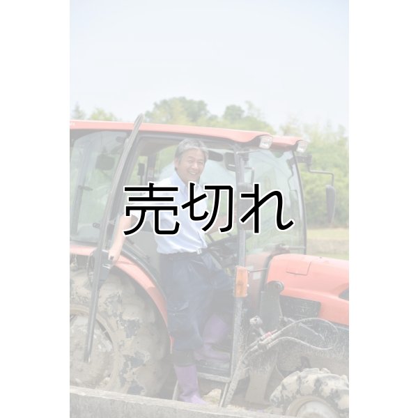 画像4: 齊藤正明　令和6年産　吉見町産米 (4)
