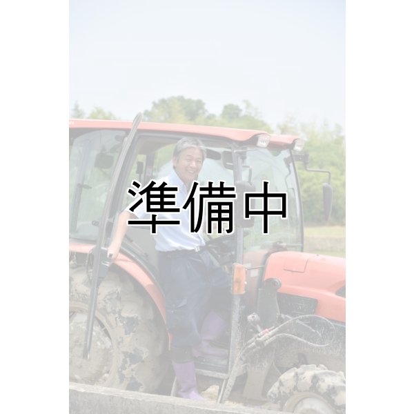 画像4: 齊藤正明　令和7年産　吉見町産米 (4)