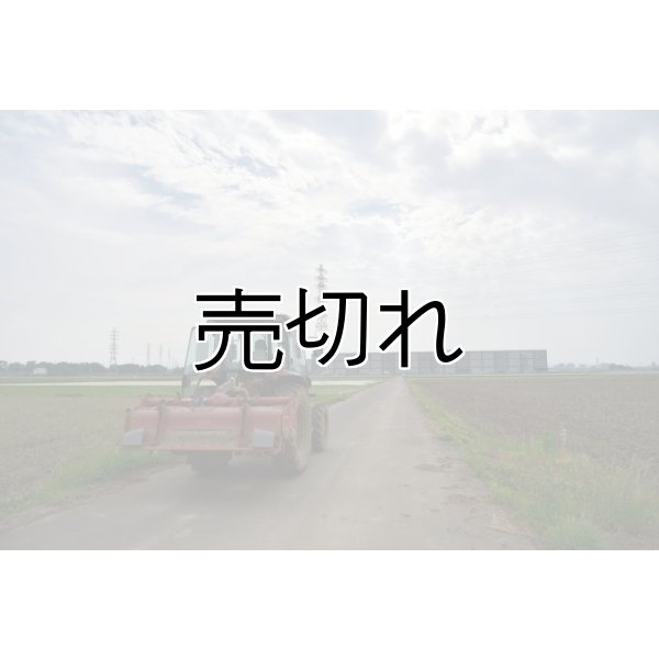 画像3: 小池農園 (3)