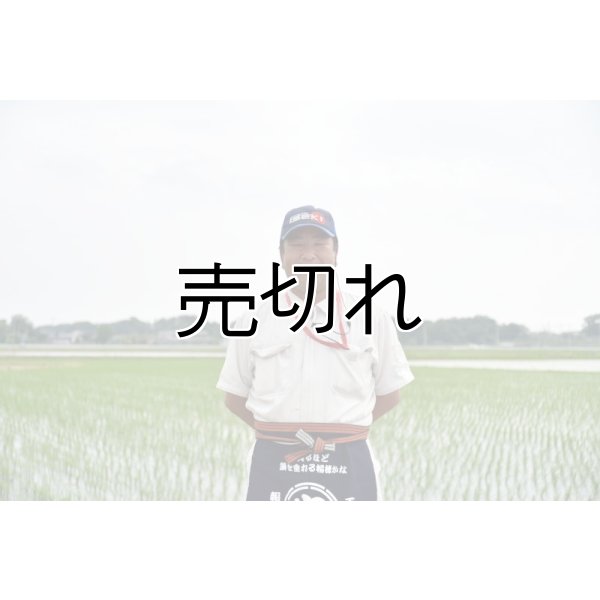画像2: 小池農園 (2)