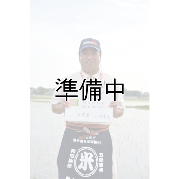 画像1: 小池農園　令和7年産　埼玉県吉見町産米 (1)