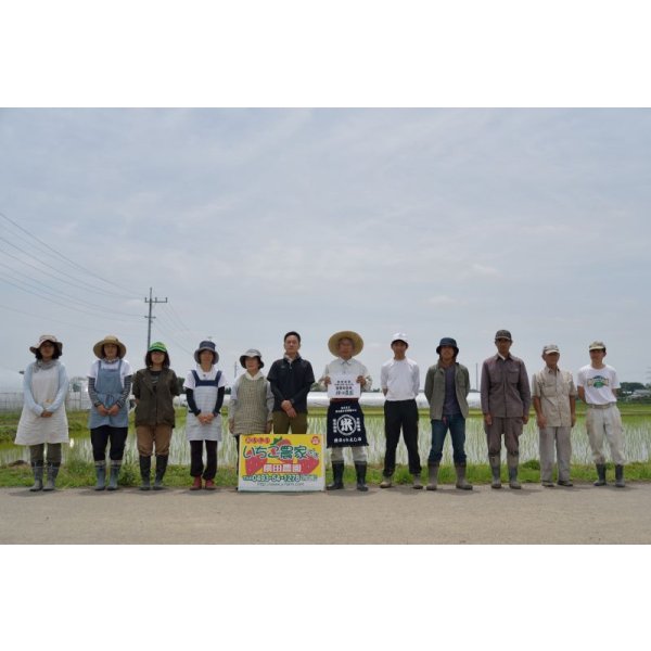 画像3: （株）横田農園　令和8年産　埼玉県吉見町産米 (3)