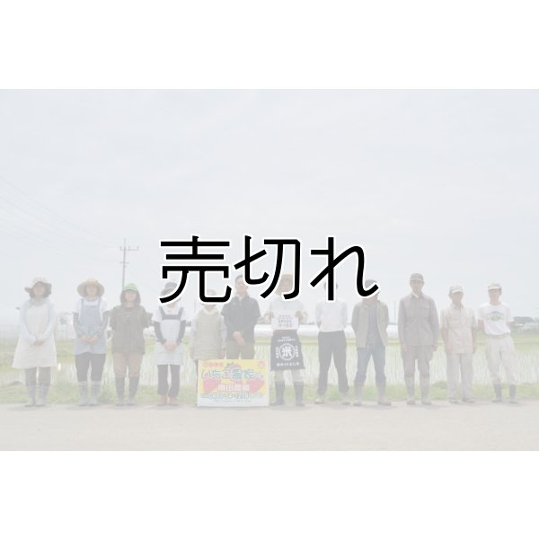 画像3: （株）横田農園　令和6年産　埼玉県吉見町産米 (3)